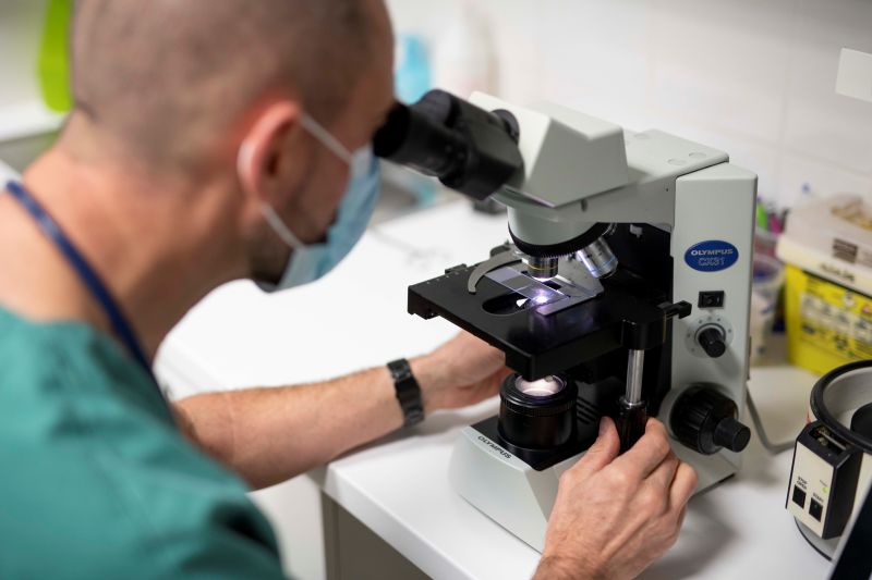 Analyses vétérinaires à Excideuil en Dordogne